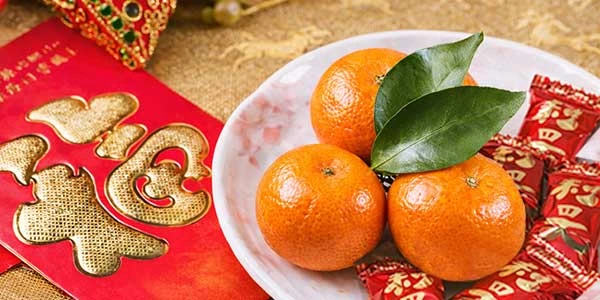 Chinese New Year Traditions and Meanings: What to Do Before and During the Lunar New Year