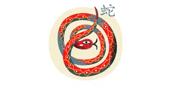 Chinese Zodiac the Snake
